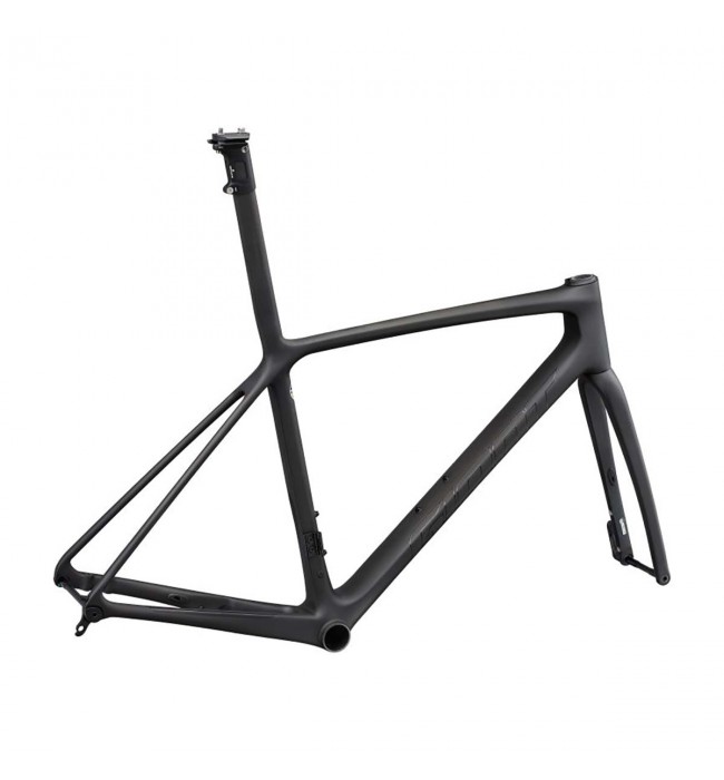 2022 Giant TCR Advanced SL Disc Frameset