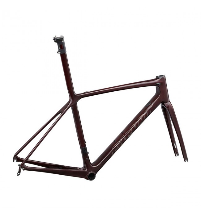 2022 Giant TCR Advanced SL Frameset