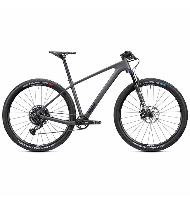 2022 Radon Jealous 8.0 Mountain Bike