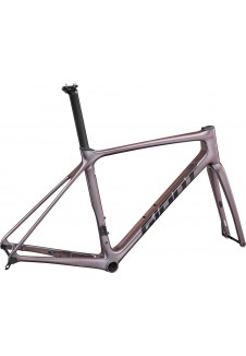 2023 Giant TCR Advanced Pro Disc Frameset