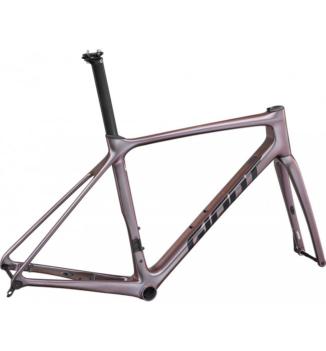 2023 Giant TCR Advanced Pro Disc Frameset