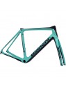 BIANCHI INFINITO CV DISC FRAMESET 2020