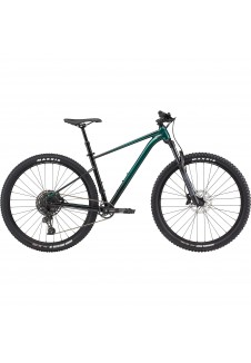 Cannondale Trail SE 2 Mountain Bike 2021
